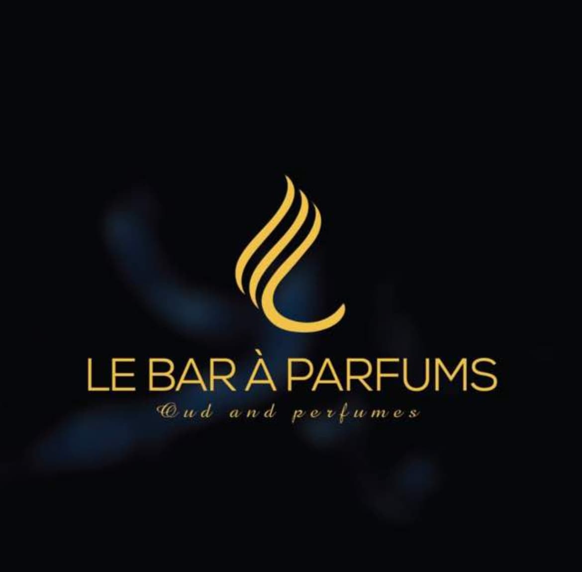Logo Le Bar à Parfums
